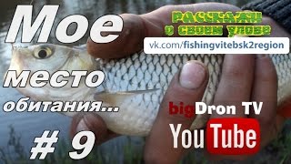 " bigDron TV///р.Лучеса,ловля на поплавок в проводку