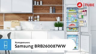 Обзор встраиваемого комби-холодильника Samsung BRB260087WW