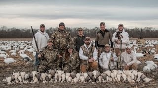 "The Experience" of Spring Snow Goose Hunting  - Fowled Reality