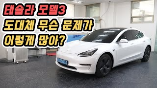 테슬라 모델3...무엇이 문제인가?