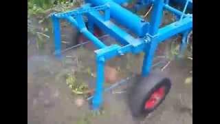 Копка картофеля мотоблоком МТЗ (первое испытание копалки).Часть 2