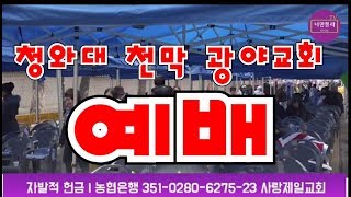 청와대 광야교회 오전예배