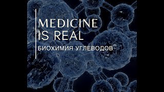 Переваривание углеводов. Синтез и мобилизации гликогена и регуляция