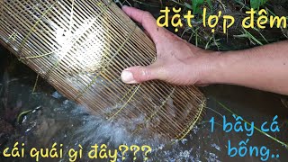 Trời ơi!!! Nó đen trong lợp rồi, quậy muốn banh lợp luôn | Săn bắt SÓC TRĂNG |