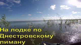 Рыбалка на Карпа, Сазана. Кружки. Октябрь 2019