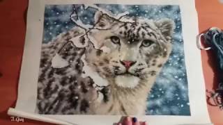 Вышивка крестом: Snow Leopard от DIMENSIONS завершен!
