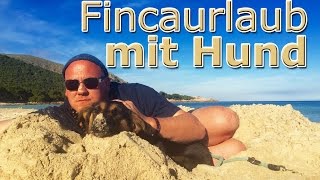 Fit für die Finca: Hunde erlaubt