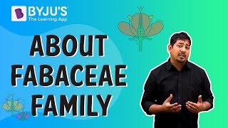 Fabaceae Family : Class 11-12