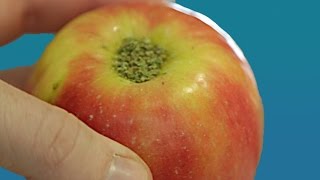 9 Weed Hacks You Never Knew You Needed