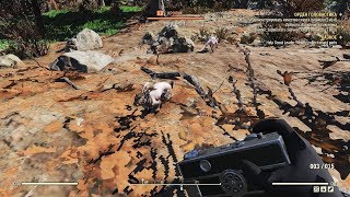 Fallout 76 : Где найти кролика ?
