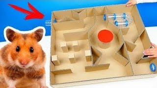 короче говоря  Лабиринт для Хомяка