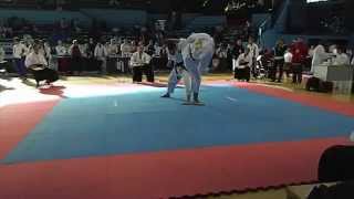 Чемпионат мира по каратэ-до Фудокан 2011. Ката командное и бункай