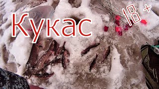 ? КУКАС АТАС РЫБАЛКА КЛАСС!!!!!!!! ? Зимой на озере