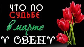 ОВЕН что по СУДЬБЕ в МАРТЕ  2019 года Гороскоп на картах Таро