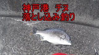 神戸港でチヌ　目印でヘチ落とし込み釣り