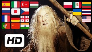 Gandalf: "YOU SHALL NOT PASS" | Multilanguage | Lord of the Rings | 1080p
