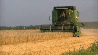 John Deere 1177 Threshing Wheat. Part 1.