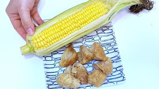 素食家常菜料理│玉米和猴頭菇這樣煮，提高免疫力，不煎不炸不炒，營養又好吃，孩子天天吃都不膩│Vegan Recipe │EP161