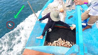 CÁCH ĐÁNH BẮT HẢI SẢN THÔNG MINH CỦA NGƯ DÂN LÀM NGHỀ BIỂN MÀ ÍT AI BIẾT ĐẾN | LỰC TV