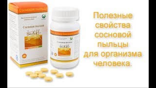 Полезные свойства сосновой пыльцы для организма человека.