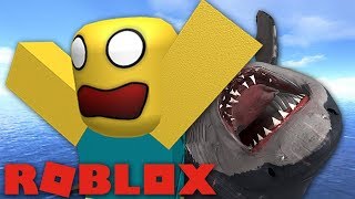 IK HEB DE HAAI GEKILLED! (ROBLOX SHARKBITE)
