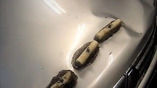 PDR удаление вмятин. На что способен мокрый снег.