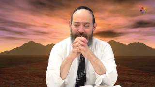 Rabbi David Kaplan - Weekly Torah Portion: Shemot - Part 2
