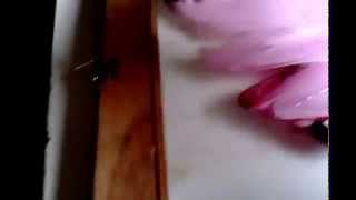 video 1 come dipingere sul vetro