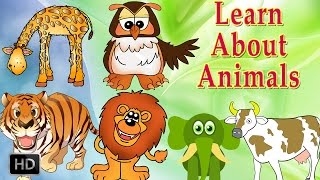 Learn About Animals - Animal Sounds - Learning Animals For Toddlers - Zoo Animals