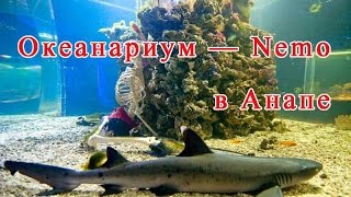 Океанариум на Пионерском проспекте (Анапа)