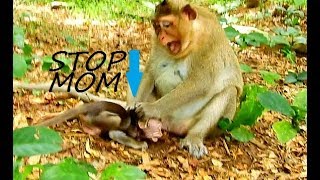 Pitiful Poor Copper Deep Hurt And Scare | Copper Can Not Move Mom Torturing | Stop Doing This CoCo.