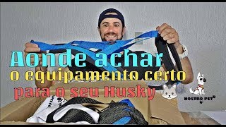 Aonde comprar equipamento para o seu Husky Siberiano puxar...