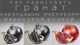 как нарисовать гранат карандашом маркерами шариковой ручкой