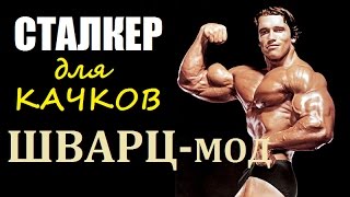 СТАЛКЕР для КАЧКОВ!!! ШВАРЦ-Мод