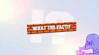 Taddl neues Wtf Intro