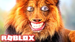 rawr i am a lion in roblox