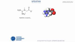 Как принимать креатин? Какой эффект?
