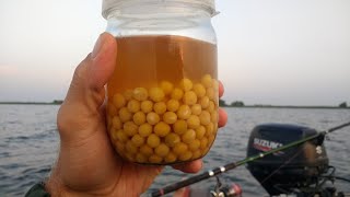 КАРП НА ГОРОХ И КАРТОШКУ С БЕРЕГА