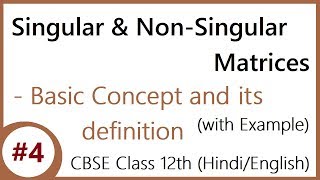 #4 | Singular & Non-Singular Matrices | CBSE Class 12 (Hindi/English)