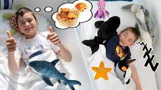 VLOG - MORNING ROUTINE au MARINELAND HÔTEL D'ANTIBES ? ??