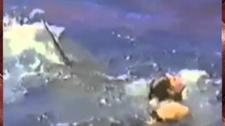 АКУЛА НАПАЛА НА ДЕВУШКУ И ОТГРЫЗЛА ЕЙ НОГУ