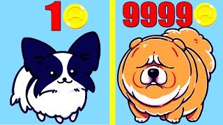 Merge Dogs! MAX LEVEL DOGS EVOLUTION! Merge Dogs Level 999?