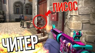 ЧИТЕР БОСС - СОСНУЛ ПИСОС | CS:GO #65