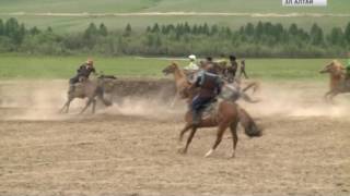 Команда из Ело стала чемпионом по кок-бору