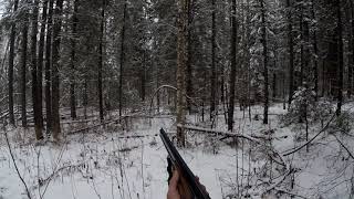 Охота с лайкой.