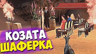 КОЗАТА НА СВАТБА!