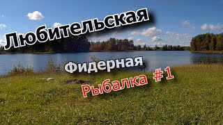 Любительская фидерная рыбалка. Вот это рыбалка и отдых.