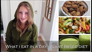 What I eat in a day in 3 min ( Vegan / Plant based diet)