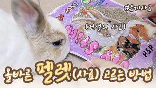 토끼 키우기 (*ꆤ.̫ꆤ*) 토끼에게 펠렛 사료는 필요할까? 올바른 펠렛 사료를 고르는 방법!