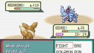NIDORINO SHINY